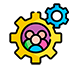Collections Management